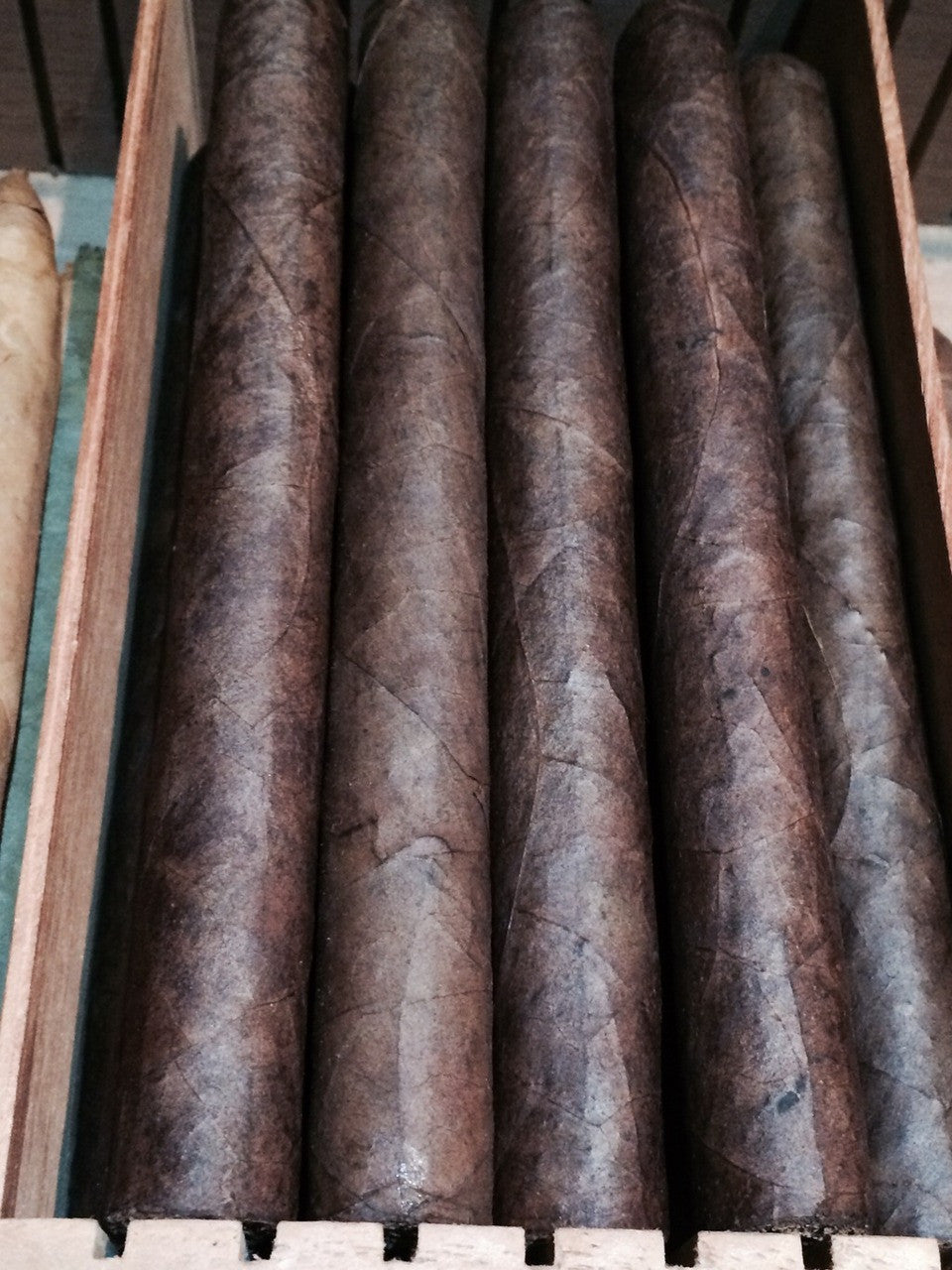Miami Maduro Full Body Hand Rolled Cigars